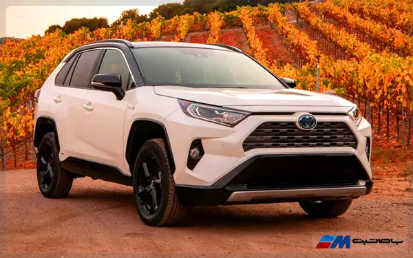 مشخصات راوفور